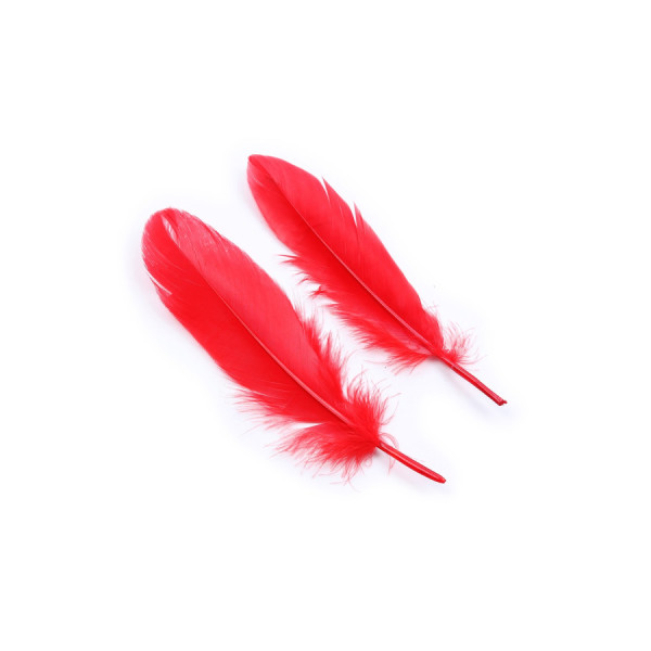 Kit coquin 4 pièces : Menottes, 2 plumes et masque rouge 